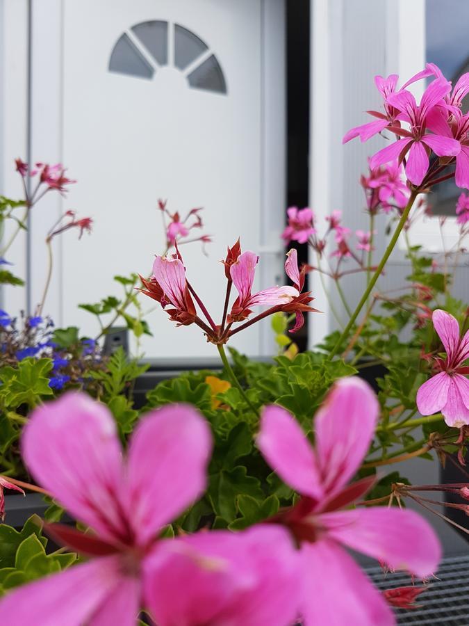 Szilas Park Motel Nagytarcsa Eksteriør bilde